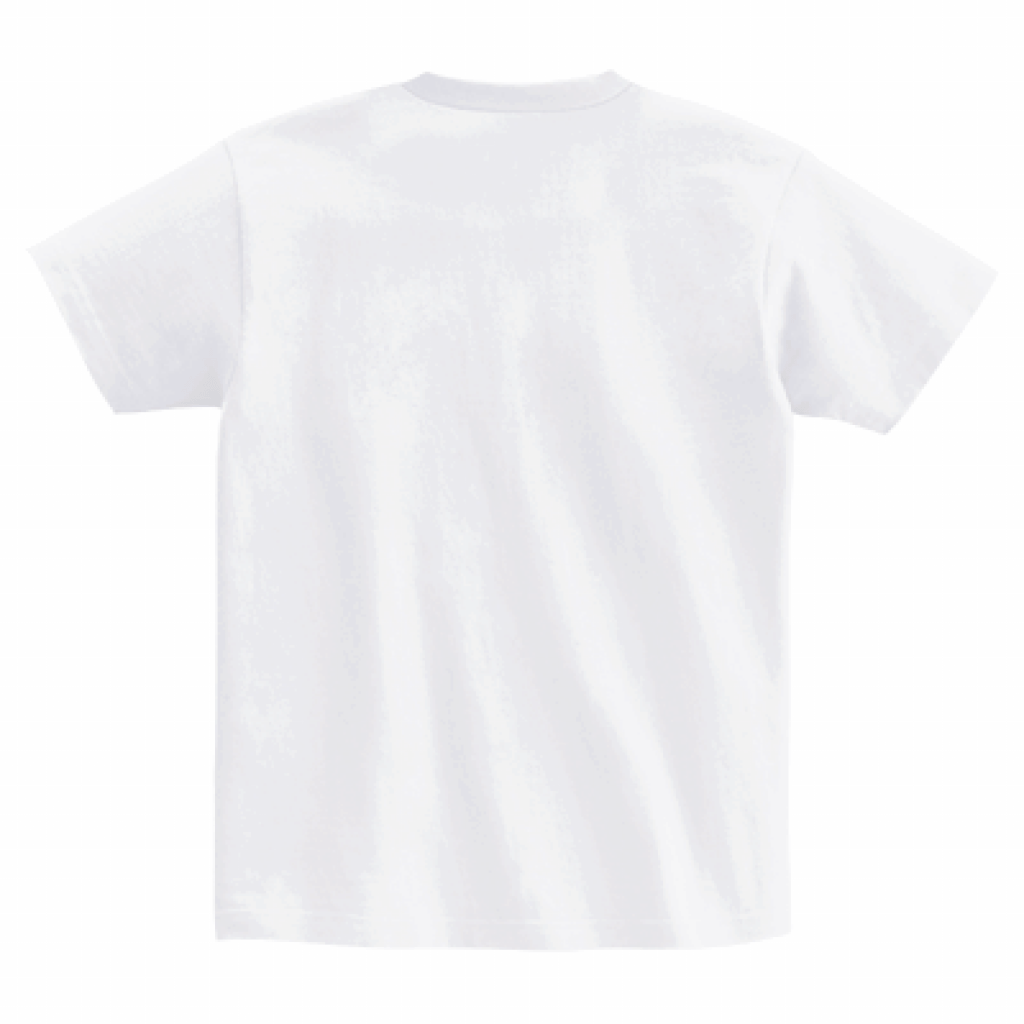 SUSTAINABLE JAPAN オリジナルTシャツ - UPSEA