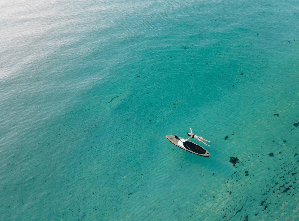 森から海へ：企業が挑む海洋プラスチック問題の解決策 - UPSEA